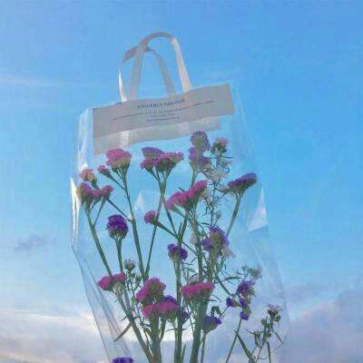 赏金女王下载ios